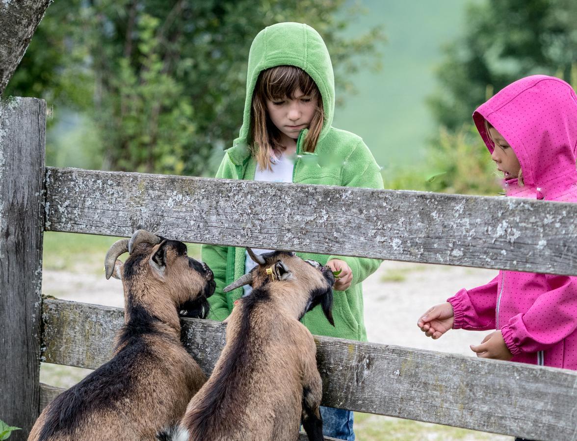 Christernhof Villa Maria Alm am Steinernen Meer Dış mekan fotoğraf