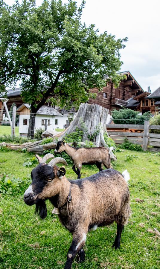 Christernhof Villa Maria Alm am Steinernen Meer Dış mekan fotoğraf