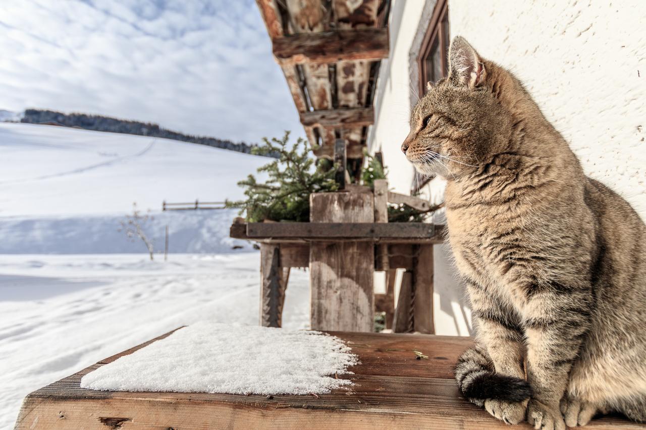 Christernhof Villa Maria Alm am Steinernen Meer Dış mekan fotoğraf