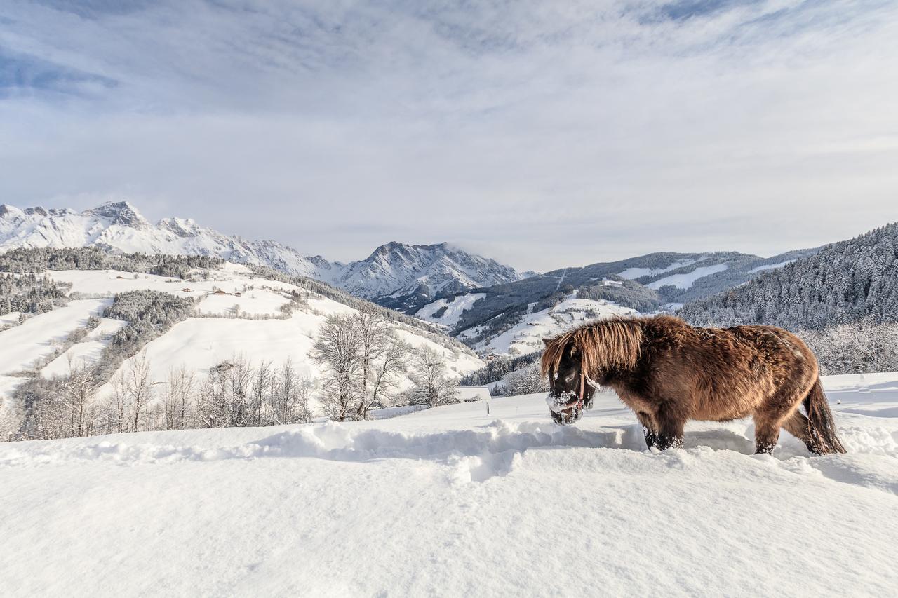 Christernhof Villa Maria Alm am Steinernen Meer Dış mekan fotoğraf